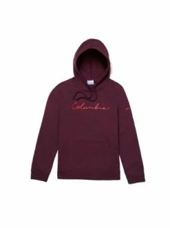 Billig 🥰 Outdoor & Sport Columbia Hoodie Trek Gaphic In Beere Günstig Kaufen 🧨