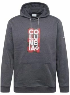 Bestpreis ✨ Outdoor & Sport Columbia Kapuzenpullover CSC Basic 2 Logo In Grau Günstig Kaufen 🥰